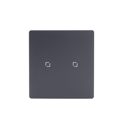 NSW100 2 Gang Smart Light Switch – Grey Touch Glass